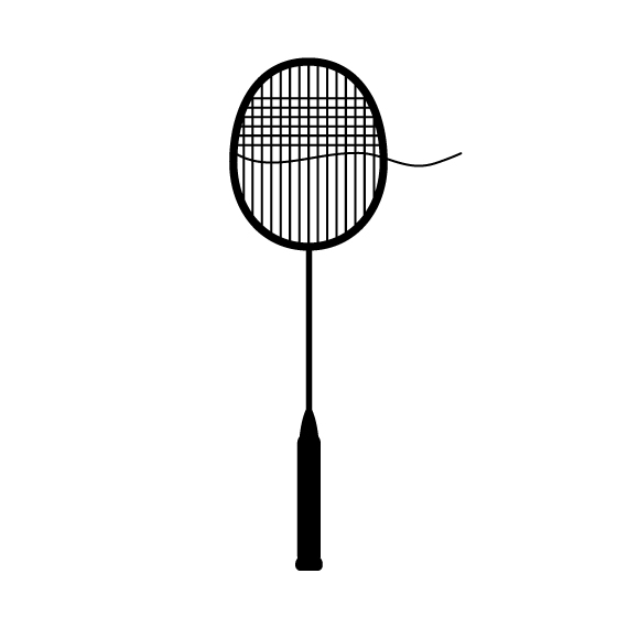 Besaitungsservice - gebrauchte Badmintonschläger Unsere Empfehlung 12 kg